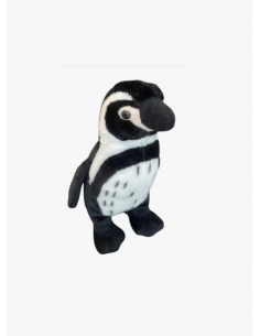 Bébé manchot de Humbolt