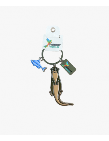 Portes clés Parrot World