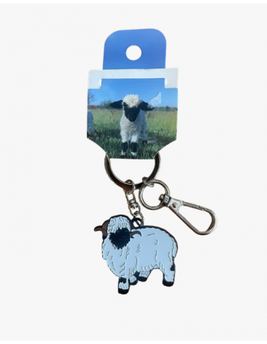 Portes clés Parrot World