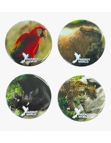 Badges Parrot World