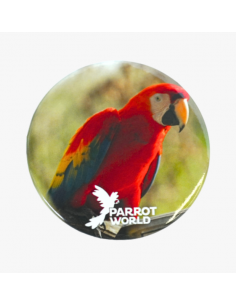 Badges Parrot World