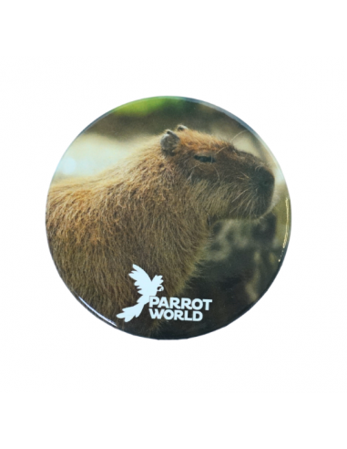Badges Parrot World