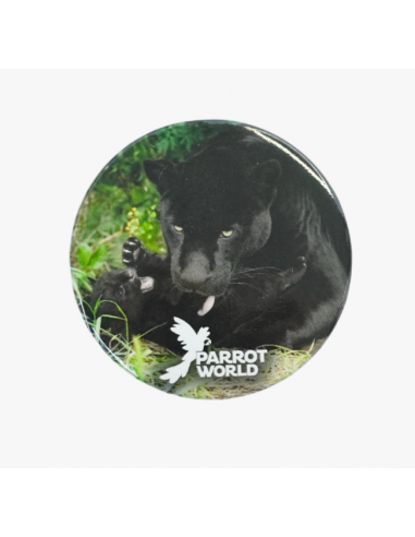 Badges Parrot World
