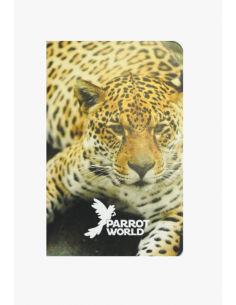 Carnets Parrot World