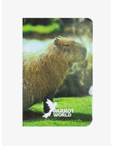 Carnets Parrot World