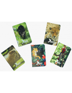 Carnets Parrot World
