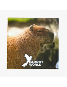 Magnet Parrot World