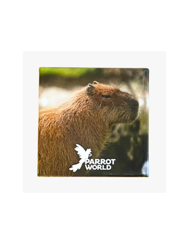 Magnet Parrot World