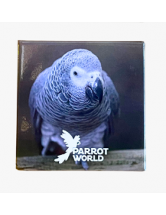 Magnet Parrot World