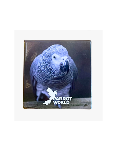 Magnet Parrot World