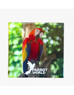 Magnet Parrot World