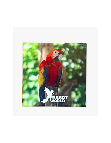 Magnet Parrot World
