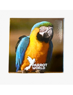 Magnet Parrot World