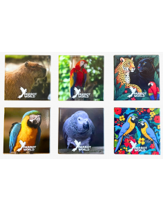 Magnet Parrot World