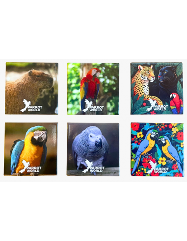 Magnet Parrot World