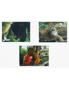 Magnets Parrot World