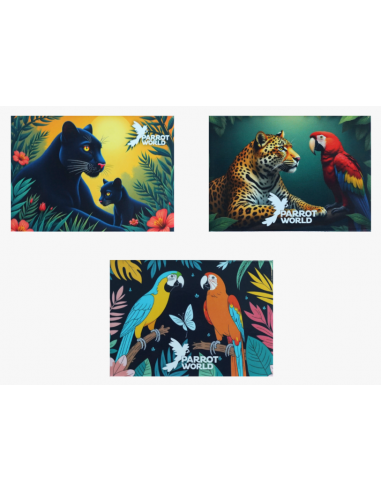 Magnets Parrot World