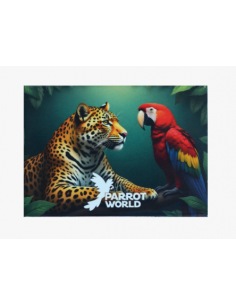 Magnets Parrot World