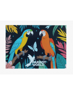 Magnets Parrot World