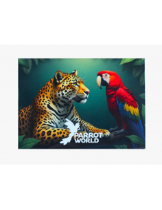 Cartes postales Parrot World