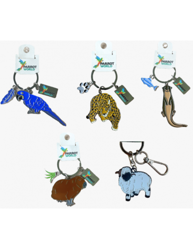 Portes clés Parrot World