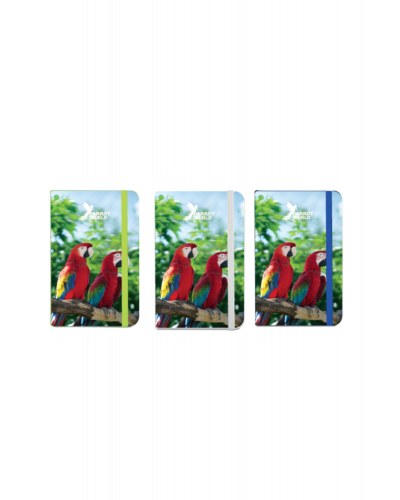 Carnets de poche - Perroquet