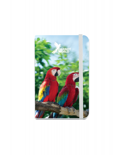 Carnets de poche - Perroquet