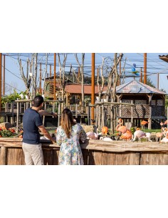 Bon cadeau Pass Annuel Adulte - à partir de 12 ans