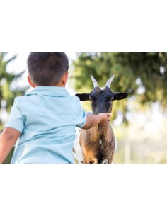 Bon cadeau Pass Annuel Adulte - à partir de 12 ans