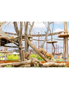 Bon cadeau Pass Annuel Enfant - de 3 à 11 ans