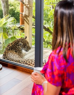 Une nuit face aux jaguars