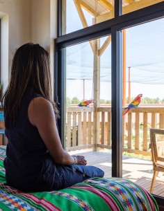 Une nuit face aux...