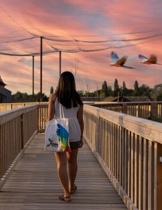 Une nuit face aux ibis rouges au coeur du Pantanal