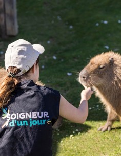 Bon cadeau Soigneur d'un jour Adulte - à partir de 14 ans