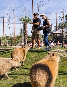 Bon cadeau Soigneur d'un jour Adulte - à partir de 14 ans