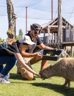 Bon cadeau Soigneur d'un jour Enfant 8 à 13 ans inclus