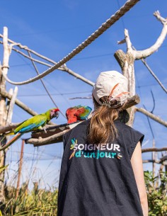 Bon cadeau Soigneur d'un jour Enfant 8 à 13 ans inclus