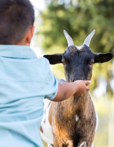 Bon cadeau Soigneur en... 2