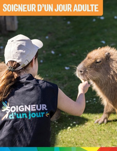 Bon cadeau Soigneur d'un jour Adulte - à partir de 14 ans