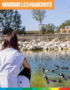 Bon cadeau Nourrir les...