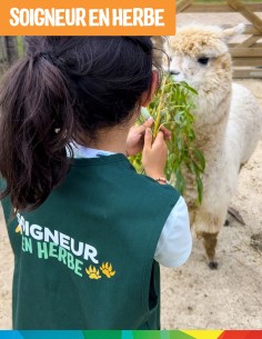Bon cadeau Soigneur en...