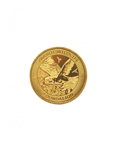 Médaille Souvenir de la Parrot...