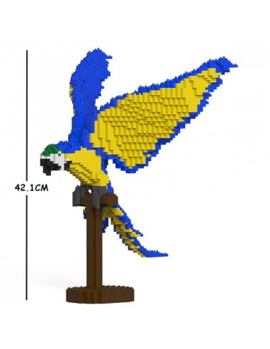 Perroquet Ara bleu et jaune ailes...