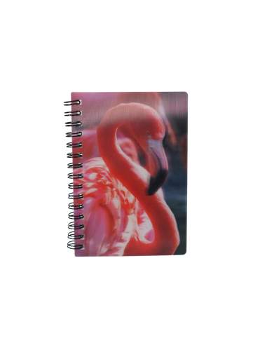 Carnet Flammant Rose