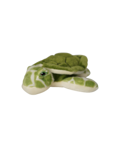 Bébé Tortue Verte