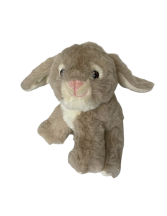 Lapin