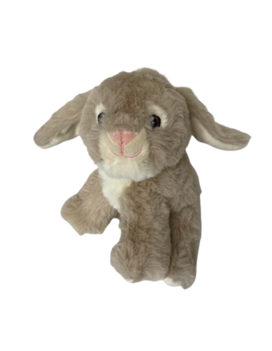 Lapin