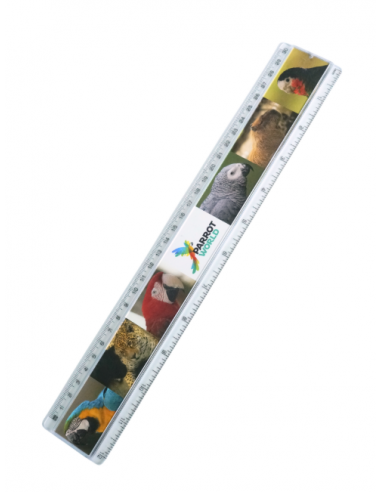Règle Parrot World