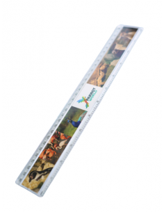 Règle Parrot World 2