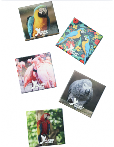 Magnet Parrot World